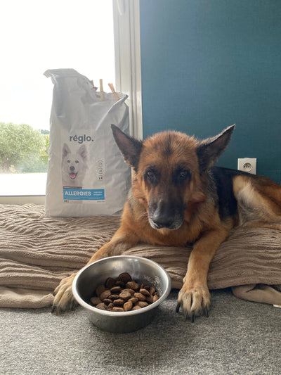 L'avis de Sebastien G. sur les croquettes aux insectes pour chien de la marque Réglo