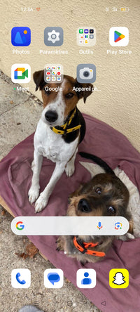 Le chien de Karine R. est nourri avec les croquettes aux insectes de la marque réglo