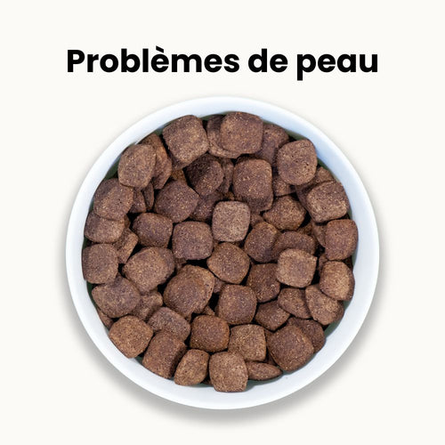 Croquettes Allergies - Chien Adulte Plus de 30 kg