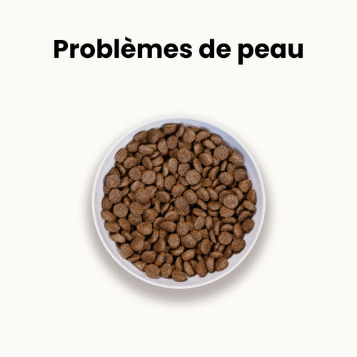 Croquettes Allergies - Chien Adulte Moins de 10 kg