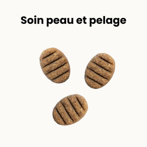 Biscuits Hypoallergéniques