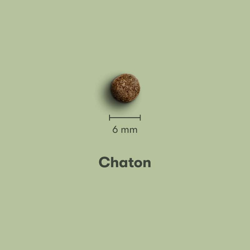 Une croquette réglo pour chaton aux insectes : une formule naturelle qui lui apporte les nutriments essentiels sans compromettre l'environnement
