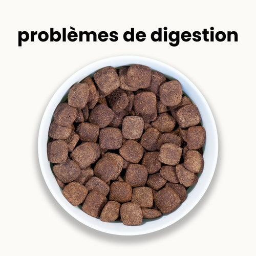 Croquettes digestion sensible - Chien adulte plus de 30 kg