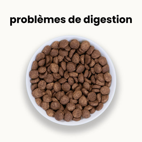 Croquettes digestion sensible - Chien adulte 10 à 30 kg