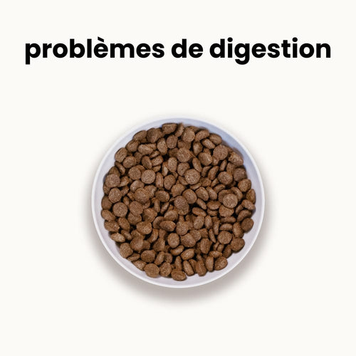 Croquettes digestion sensible - Chien adulte moins de 10 kg