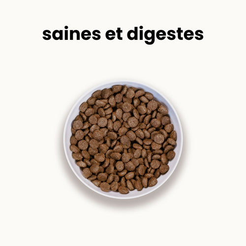 Croquettes digestion sensible - Chiot toutes tailles