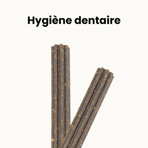 Bâtonnets Dentaires Hypoallergéniques