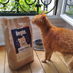 réglo : des croquettes aux insectes spécialement conçues pour les chatons, sans ingrédients controversés, pour une alimentation équilibrée et éco-friendly.