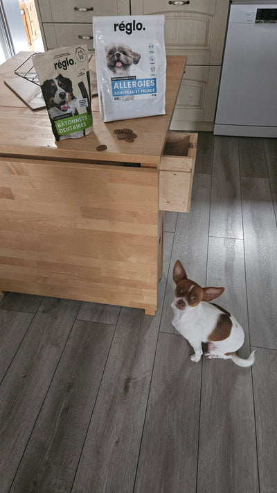 L'avis de Patricia P. sur les croquettes aux insectes pour chien de la marque Réglo