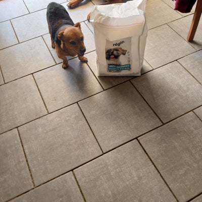 Avis sur marie-claude b. — croquettes chien