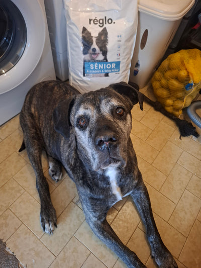 Avis sur Severine M. — croquettes chien