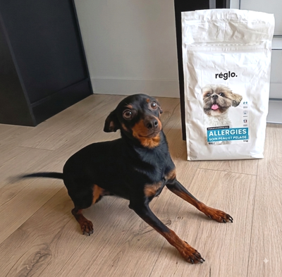 Avis sur Julie R. — croquettes chien