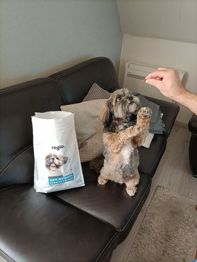 Avis sur Carine M. — croquettes chien