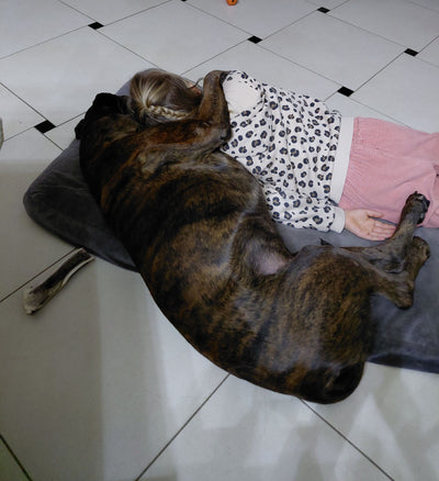 Avis sur EDITH S. — croquettes chien