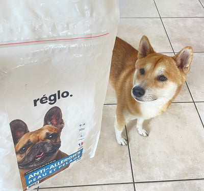 Avis sur Stéphanie R. — croquettes chien