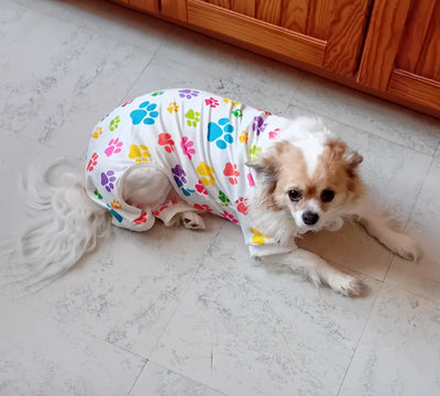 L'avis de Martine G. sur les croquettes aux insectes pour chien de la marque Réglo
