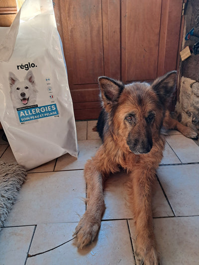 Avis sur Françoise D. — croquettes chien