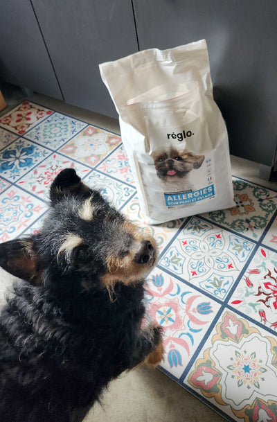 L'avis de François J. sur les croquettes aux insectes pour chien de la marque Réglo