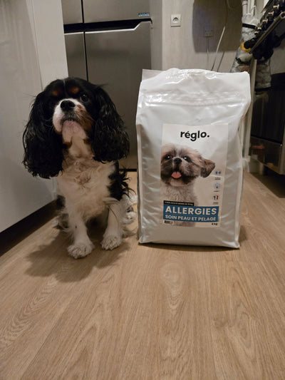 L'avis de NATHALIE V. sur les croquettes aux insectes pour chien de la marque Réglo