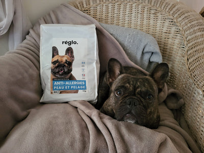 L'avis de Olivier S. sur les croquettes aux insectes pour chien de la marque Réglo