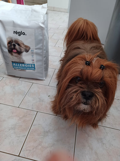 Avis sur nancy b. — croquettes chien