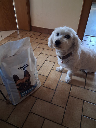 L'avis de Joelle M. sur les croquettes aux insectes pour chien de la marque Réglo