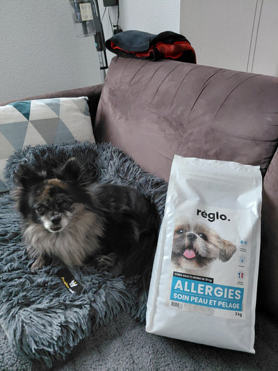 L'avis de Sabrina D. sur les croquettes aux insectes pour chien de la marque Réglo