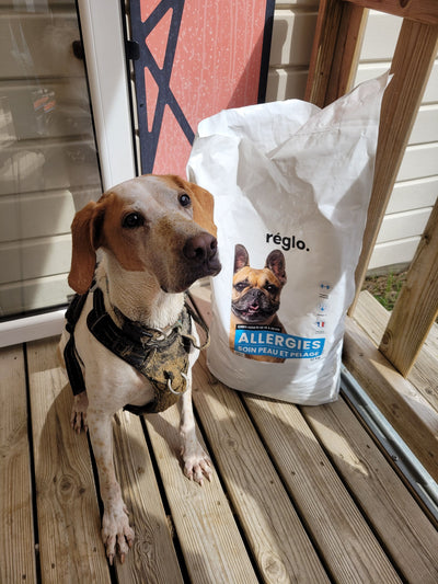 L'avis de Anne-Chantal D. sur les croquettes aux insectes pour chien de la marque Réglo