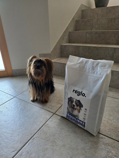 Avis sur Jacques Z. — croquettes chien