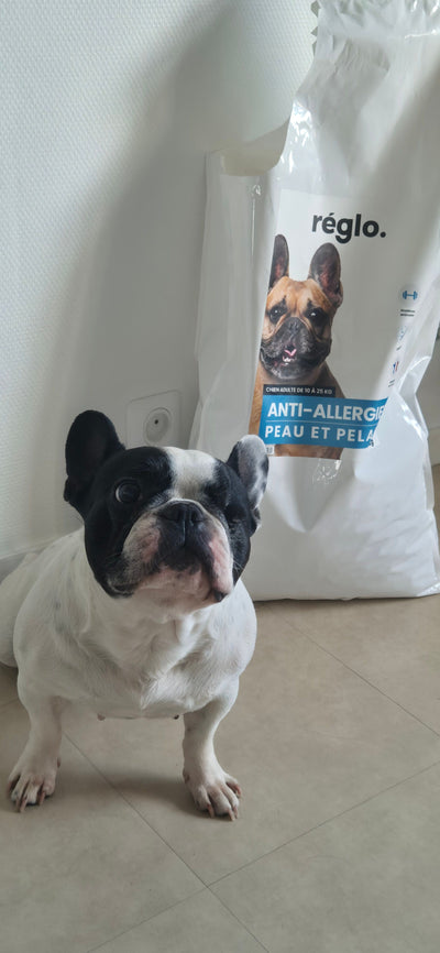 Avis sur Ophelie L. — croquettes chien