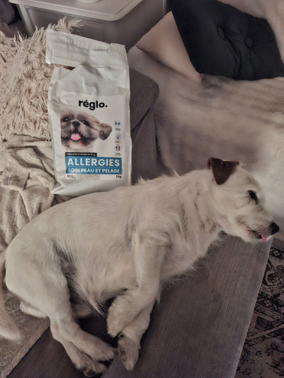 Avis sur Claude R. — croquettes chien