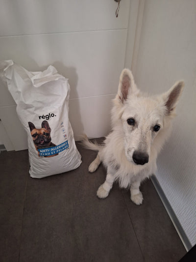 Avis sur VALERIE B. — croquettes chien