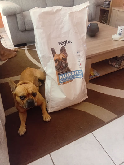 Avis sur Hélène v. — croquettes chien