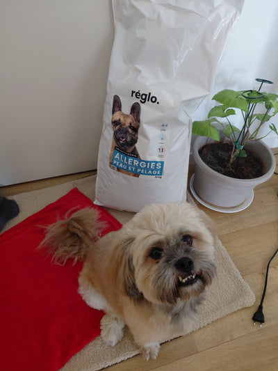 Avis sur Aurélie D. — croquettes chien