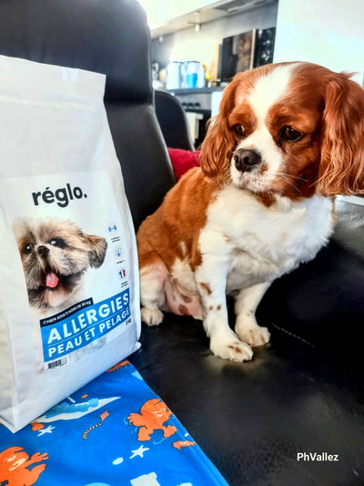 Avis sur Vallez P. — croquettes chien