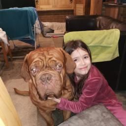 Avis sur FLORENCE G. — croquettes chien