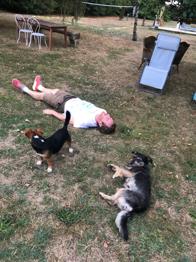 Avis sur nicole r. — croquettes chien