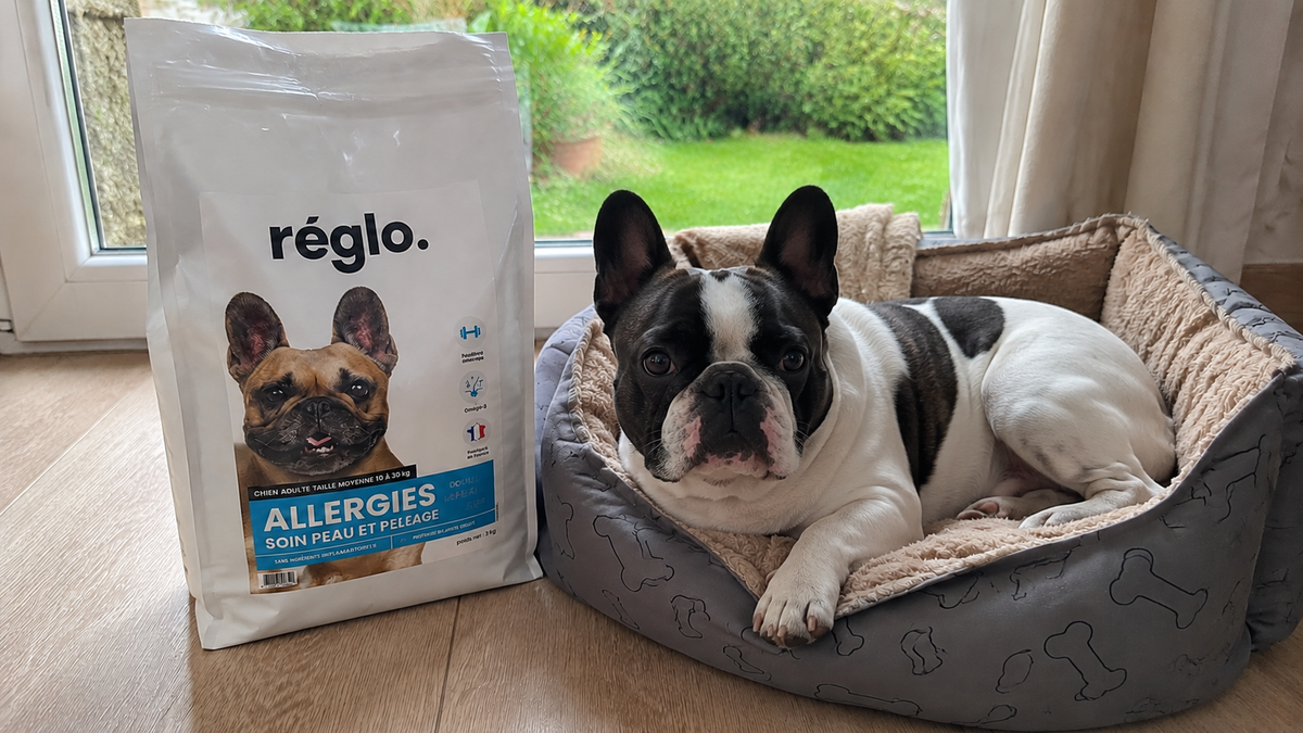 5 signes qui peuvent évoquer une allergie alimentaire chez le chien Image