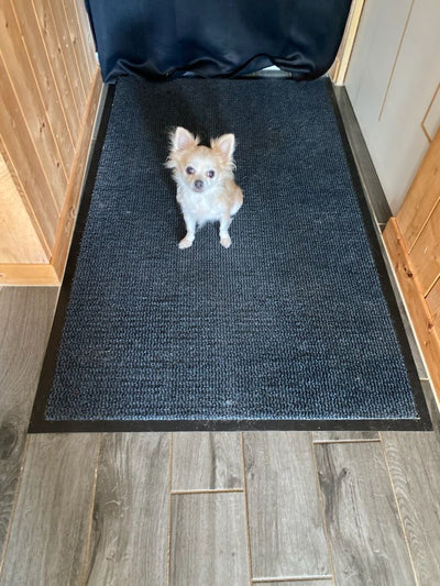 L'avis de Murielle H. sur les croquettes aux insectes pour chien de la marque Réglo