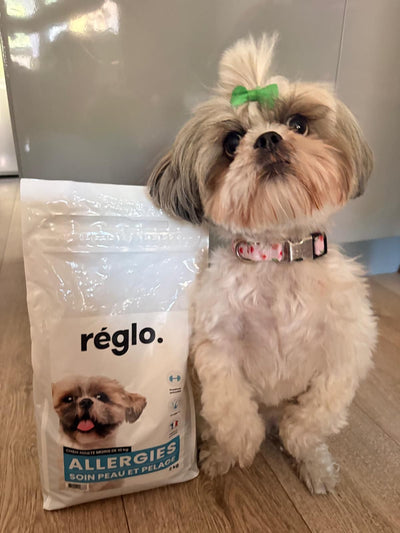 Avis sur ANNICK D. — croquettes chien