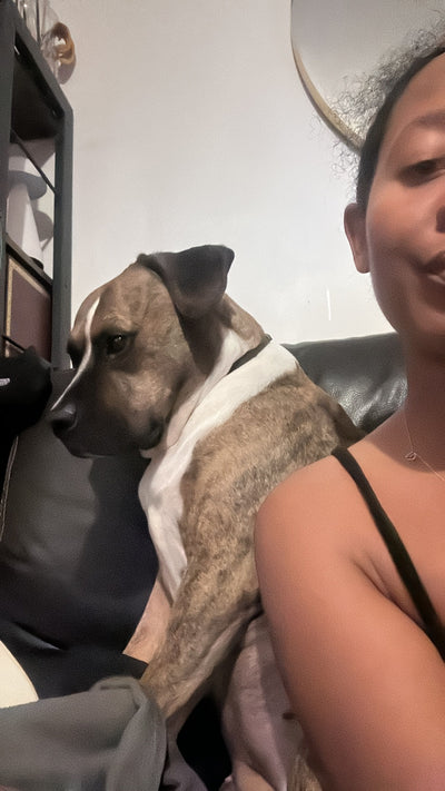 L'avis de Sandy E. sur les croquettes aux insectes pour chien de la marque Réglo