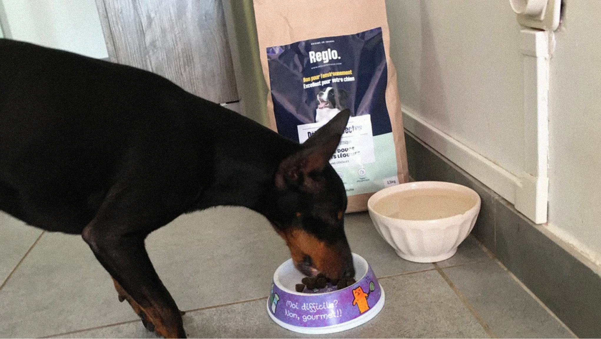 Croquettes hypoallergéniques pour chiens sensibles Image