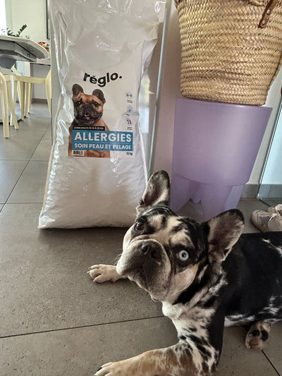 Avis sur Alessandra P. — croquettes chien