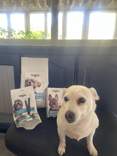 Avis sur Bernadette J. — croquettes chien
