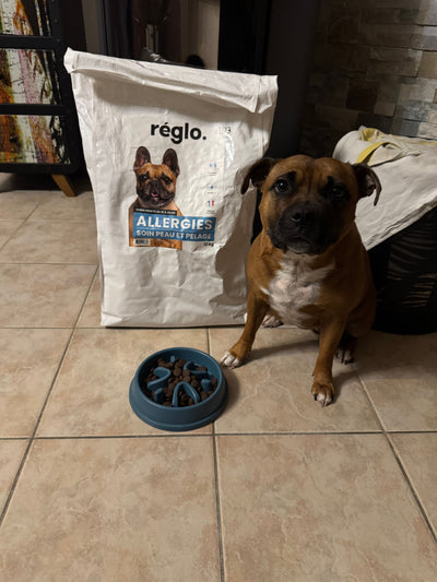 L'avis de Gaëtan E. sur les croquettes aux insectes pour chien de la marque Réglo