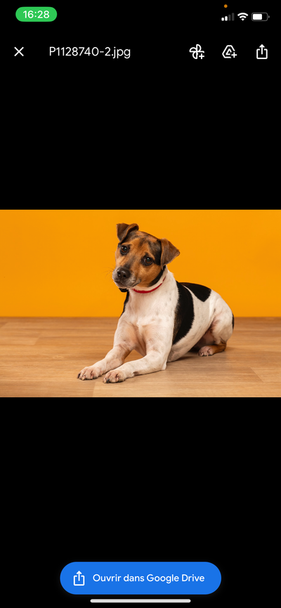 Avis sur Carole V. — croquettes chien