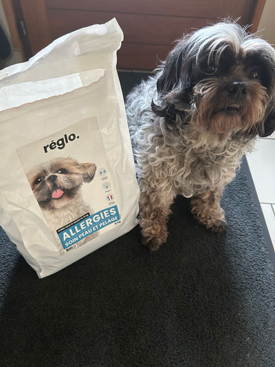 Avis sur véronique M. — croquettes chien