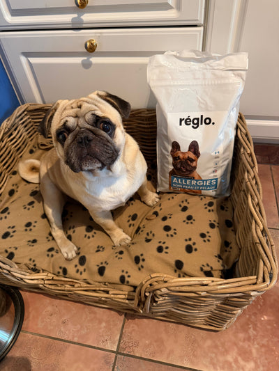 Avis sur Stéphane z. — croquettes chien