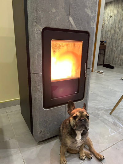 L'avis de Benjamin B. sur les croquettes aux insectes pour chien de la marque Réglo