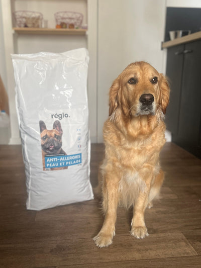 L'avis de Sebastien B. sur les croquettes aux insectes pour chien de la marque Réglo